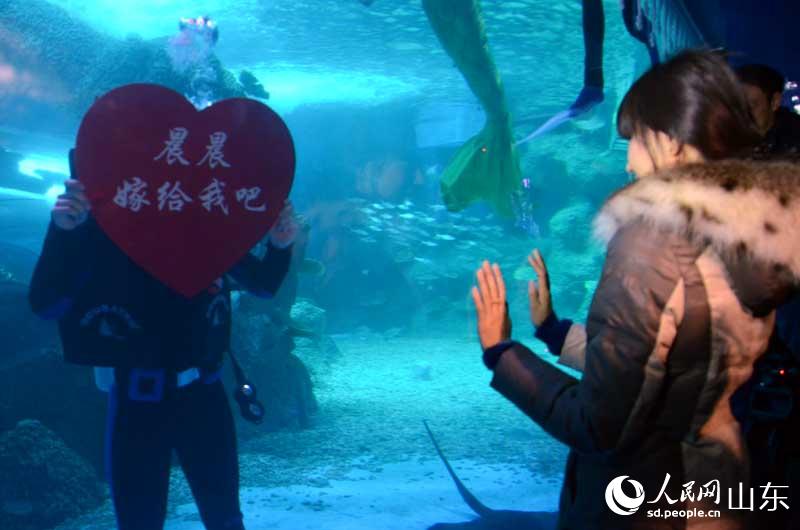 情人节:济南海底世界的水下求婚 观看者大呼嫁
