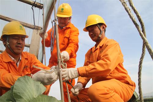 阳信电力防范大风天气 确保电网安全