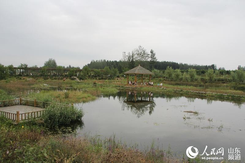 秀美的月亮湾湿地:生物净化水