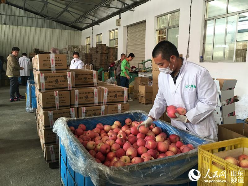 第十四届中国·山东栖霞苹果艺术节精彩开幕