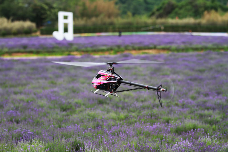 岸生态观光园举办首届青岛直升机航模特技邀请赛
