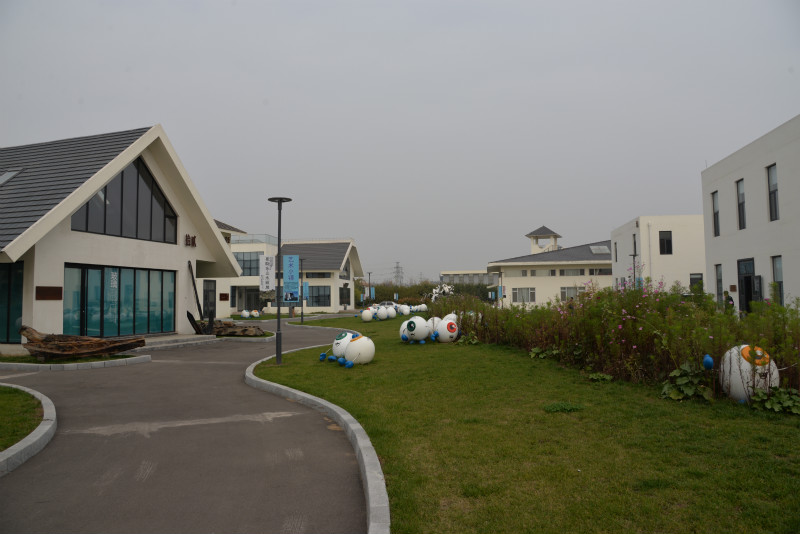 “经典之路——崔晓东山水画展”亮相青岛高新区