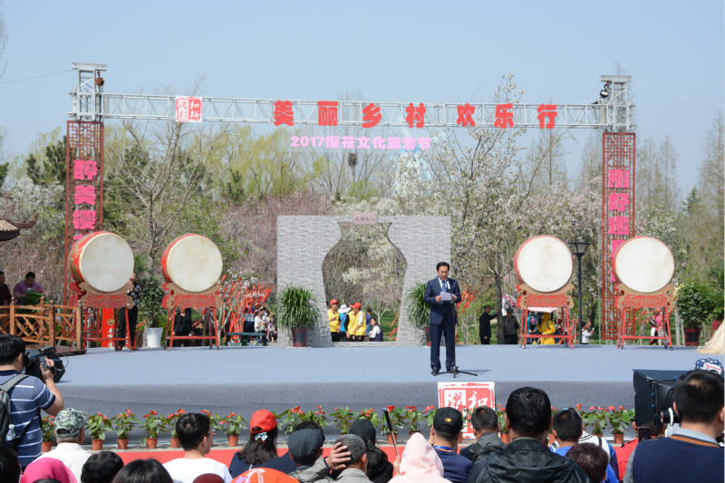 莱阳濯村樱花文化旅游节开幕 首日迎五万游客