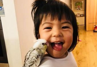 BO妞伸舌头想舔小鸟 修杰楷:她用吃探索世界
