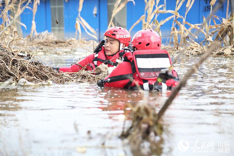 寿光2018年人口_...在寿光洪涝灾害中,全市15个镇街全部受灾,受灾人口达50.5万