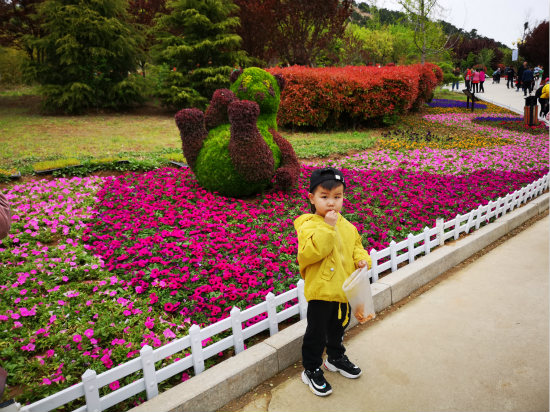 第二屆青島花卉博覽會開幕最美打卡地等你來游玩