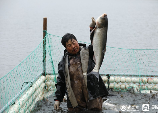 2020年5月14日，山東日照，五蓮縣戶部鄉宰相湖的漁民正在起魚。