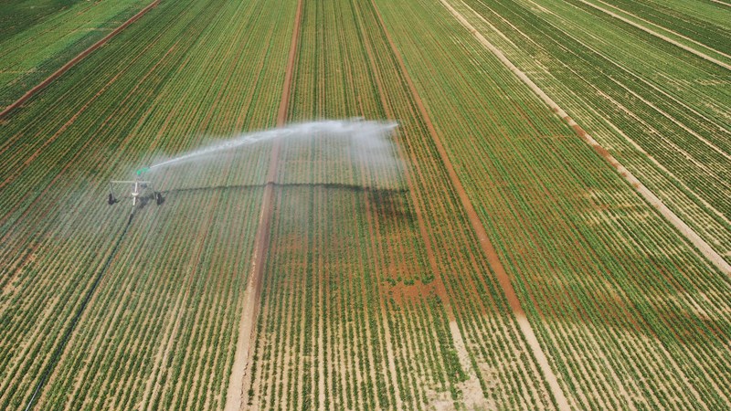 2��22�գ���ƽ����ʳ������Ч�ؼ�����������Ŀ�������Ҵ���أ�ũ���ý�ˮ����豸����С��