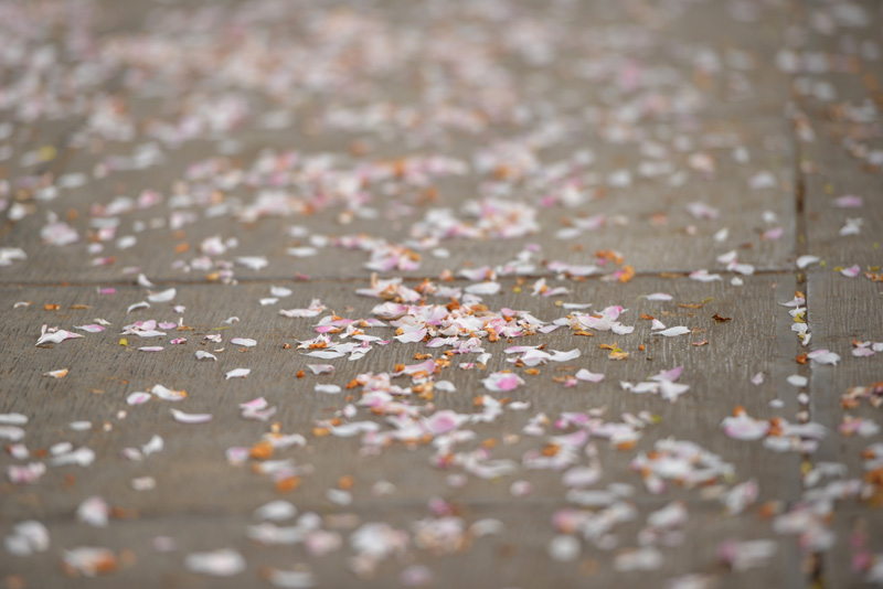 ���Ļ������Ʈ��,���绨��,����ԡ�������