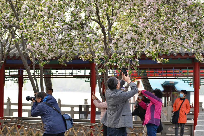 ���ϴ������Ϻ��Ļ��������˷׷�פ��������Ӱ��������