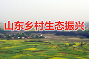 【专题】山东乡村生态振兴