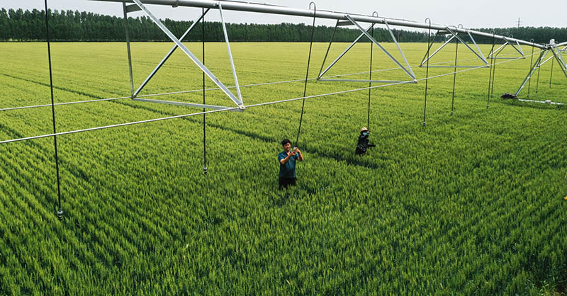 5��20�գ�ɽ��ʡ��ƽ���������Ҵ���������ˮ����ũ�����������ͷ���Ա�С��ཬ���ʹ�á�