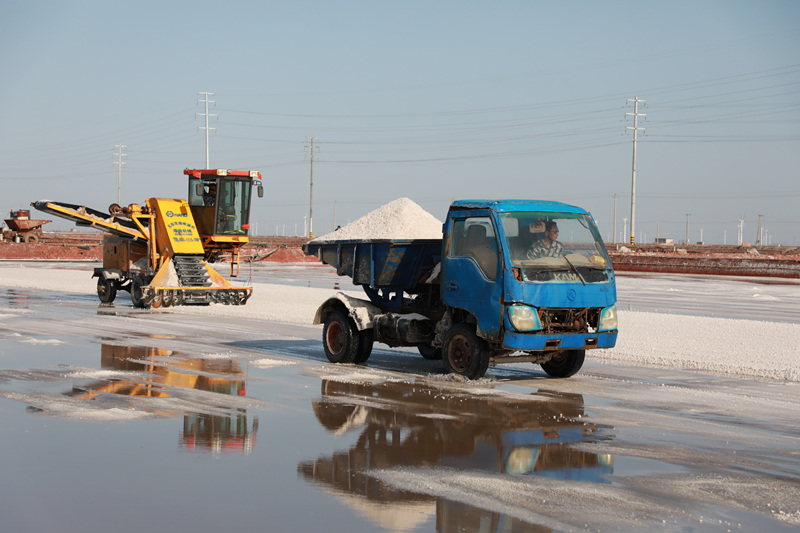 在山東省濱州市沾化區濱海鎮金盛海洋鹽場，機械作業收獲春鹽。 賈海寧攝
