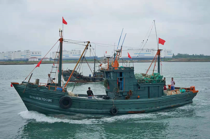 9月1日中午12時，在青島西海岸新區琅琊鎮西楊家窪漁港內，800余艘漁船集體出海，