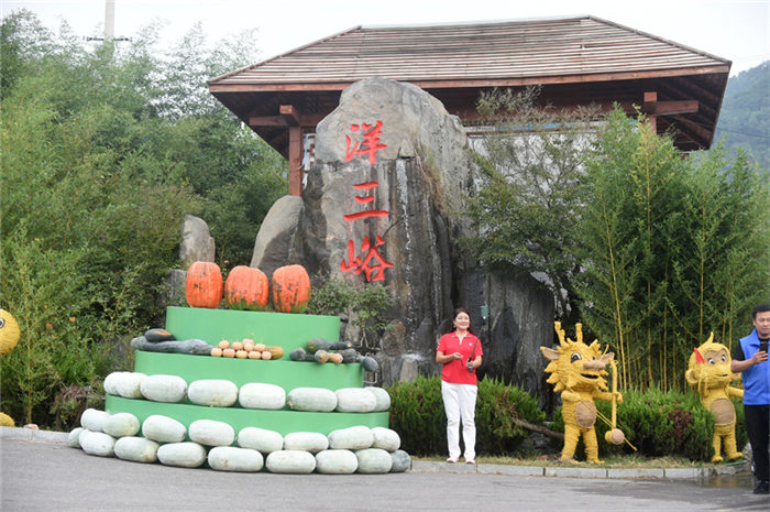 淄博沂源縣張家坡鎮洋三峪村慶豐收