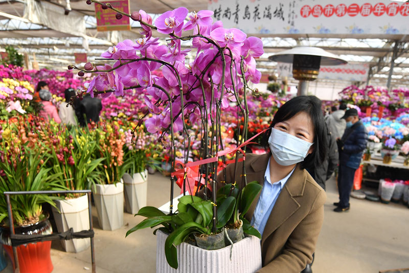 2022年1月16日，在山東省青島市嶗山區枯桃花卉市場，市民選購蝴蝶蘭迎接新春佳節。 王海濱攝