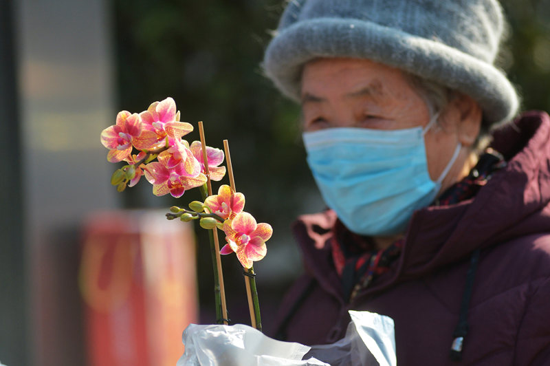 2022年1月16日，在山東省青島市嶗山區枯桃花卉市場，一名老人對購買的蝴蝶蘭愛不釋手。 王海濱攝