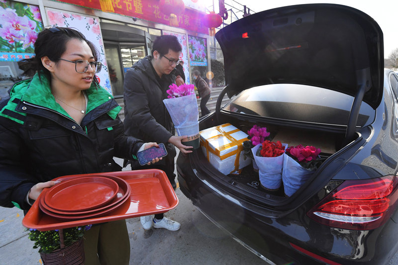 2022年1月16日，在山東省青島市嶗山區枯桃花卉市場，市民開車前來購買“年宵花”。 王海濱攝