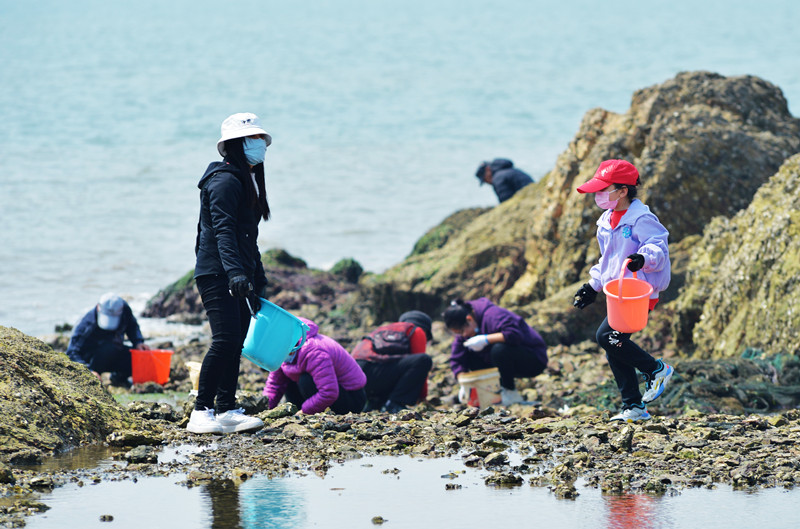 2022年4月3日，游客在山東省青島市城陽區紅島休閑漁村趕海拾貝。王海濱攝