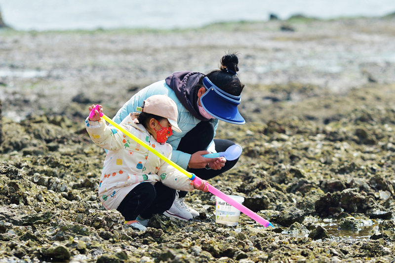 在山東省青島市城陽區紅島休閑漁村，一名小朋友跟隨家人在海灘上游玩。王海濱攝