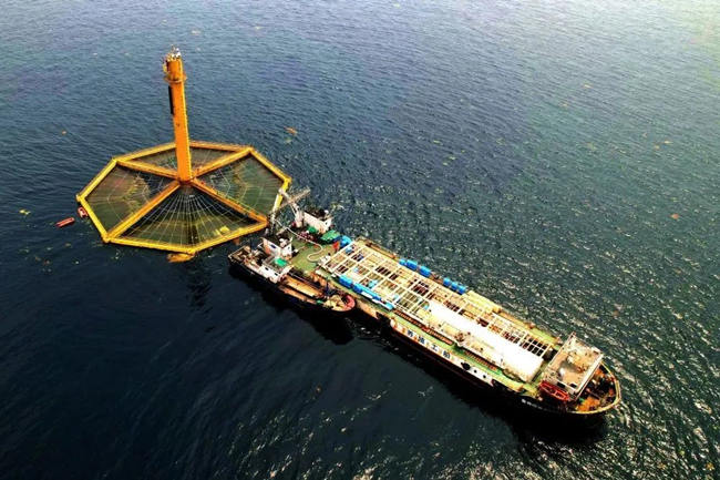 在黄海海域的“深蓝1号”网箱，养殖工船在收获三文鱼（无人机航拍）。