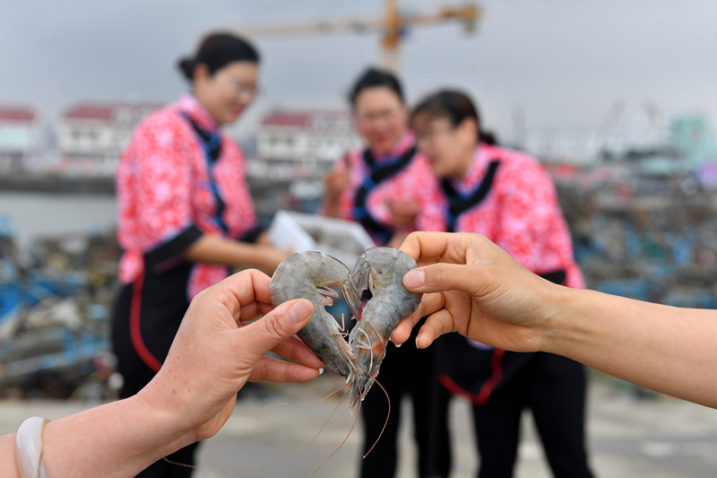 漁家“網紅”展示當地特產“鹵水蝦”。 王海濱攝