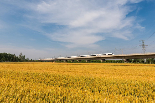 2）5月28日，日兰高铁菏泽至巨野间，一趟高速动车组列车驶过麦田。 马星魁摄