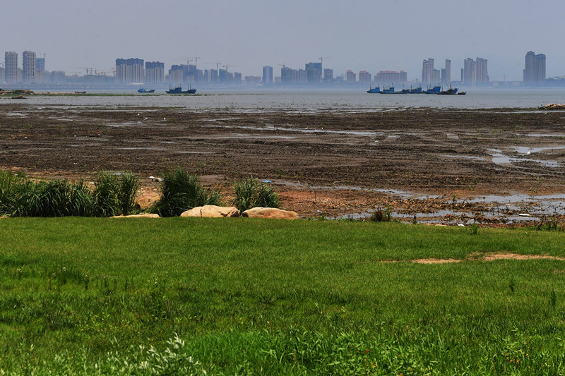 在山東省青島市膠州灣國家級海洋公園紅島段，治理后的灘涂濕地景美如畫。 王海濱攝