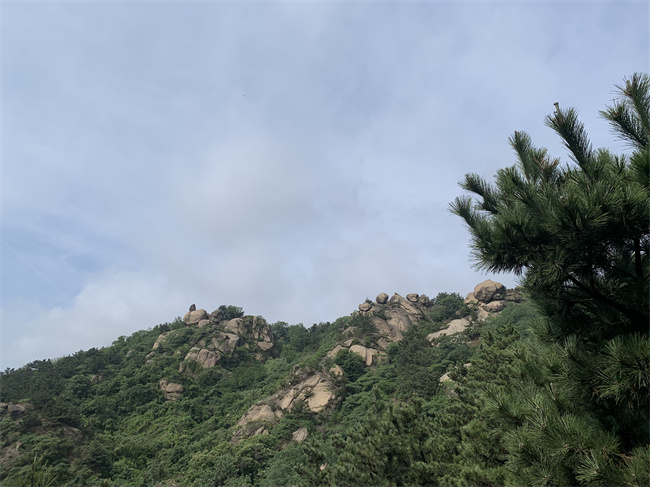 隐匿在山林中的齐长城青岛段遗址。 谈媛摄