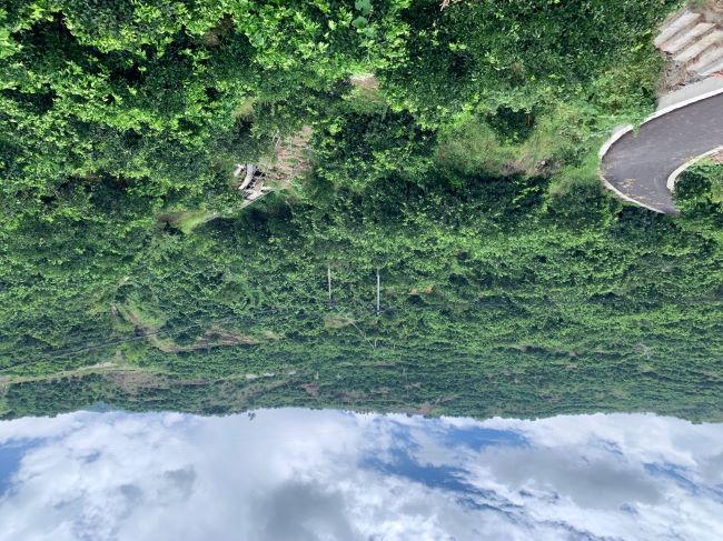 臍橙種植將成為當地“甜蜜事業” 逄鑫珊 攝