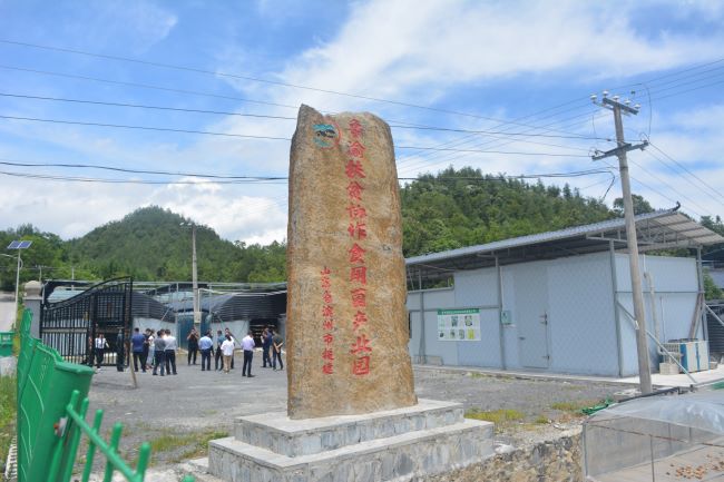 2020年，濱州市援建產業項目落地龍橋土家族鄉陽壩村，大力實施產業扶貧，推動家家有產業、戶戶能增收 逄鑫珊 攝
