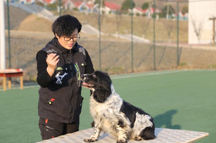 杨宇迪正在训导搜救犬 中国救援山东搜救犬机动专业支队供图