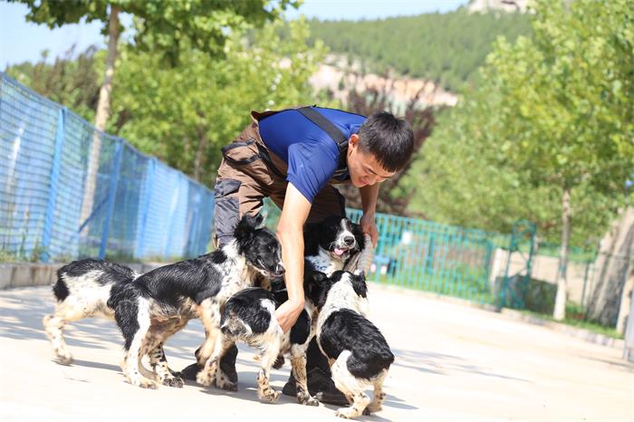 中国救援山东搜救犬机动专业支队供图