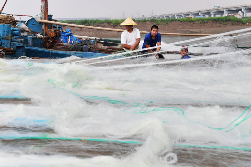 漁民忙著整理漁網運送上船，迎接秋季漁業生產旺季。王海濱攝