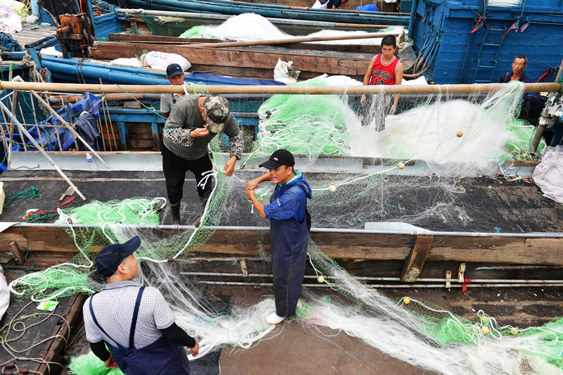 漁民忙著整理漁網運送上船，迎接秋季漁業生產旺季。王海濱攝