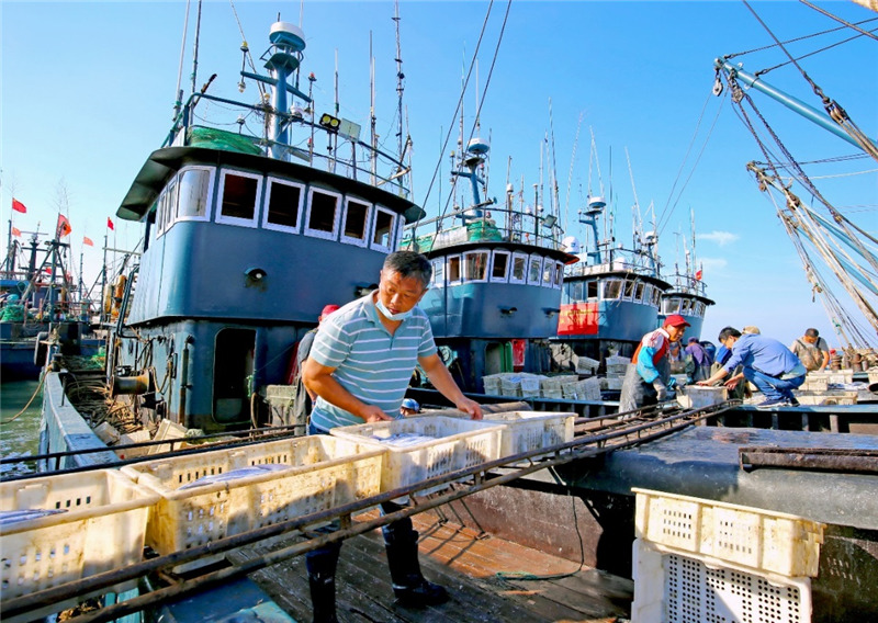 满载海鲜的渔船在日照中心渔港港码头卸载。薄林 摄