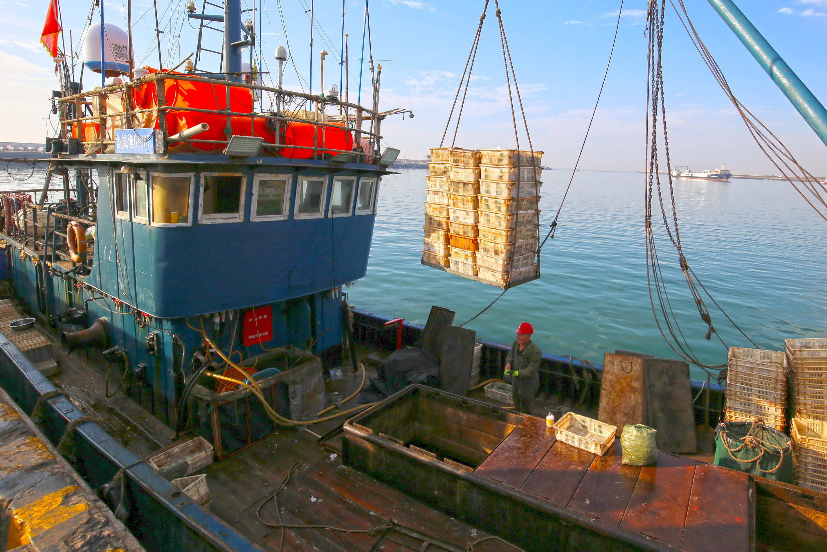 10月20日，漁船抵達日照黃海中心漁港卸船 。薄林攝