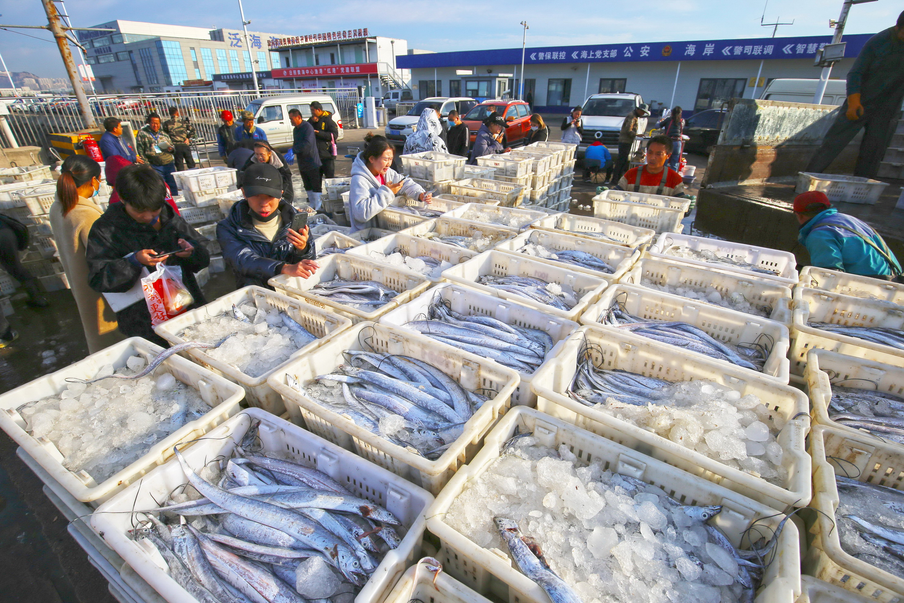 10月20日，漁民在日照黃海中心漁港挑揀、分裝海鮮 。薄林攝