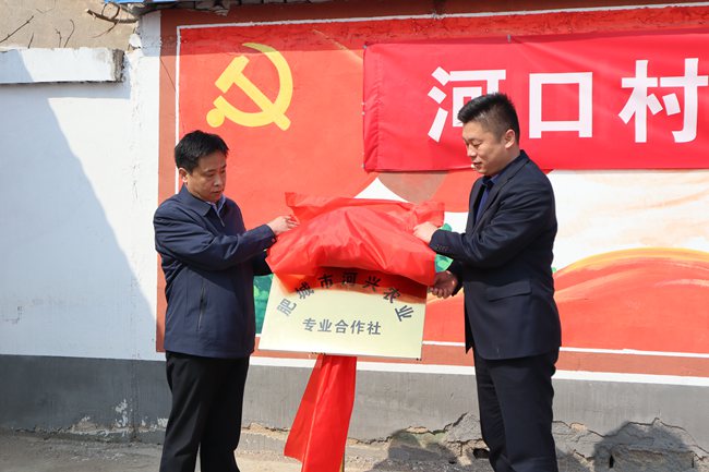老城街道第一家党支部创办合作社—河兴农业专业合作社揭牌