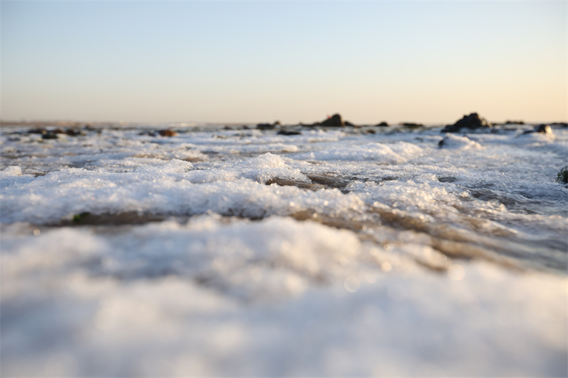 山东日照海滨出现结冰现象。宋年升摄