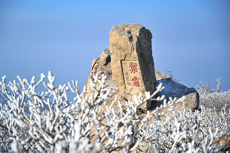 泰山之巔現霧凇奇觀，岱頂開啟仙境模式。劉春蓮攝