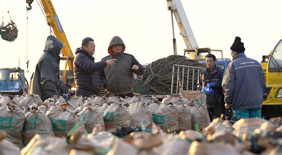 岚山区海虹因产量高、品质优，且营养价值高，广受消费者喜爱。姚文凤摄