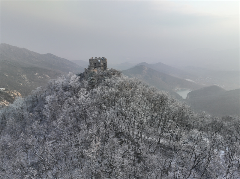 2月10日，山东日照五莲大青山风景区现雾凇景观，树枝头上都开满了晶莹剔透的冰花，清秀雅致 。张弘摄