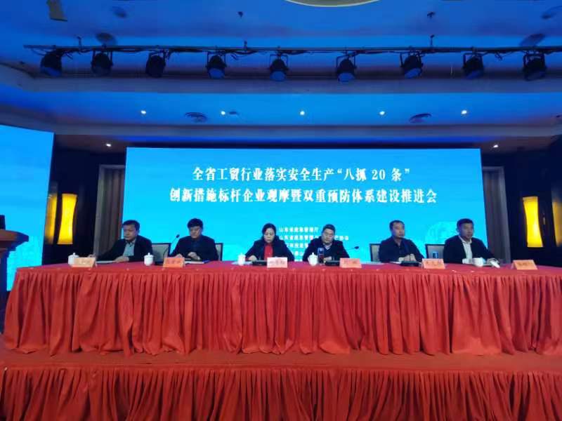 全省工贸行业安全生产观摩会在泰山区召开。张冉 摄