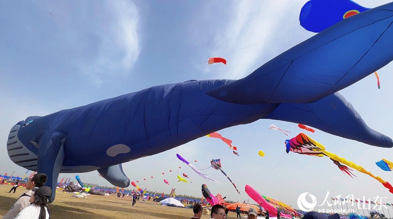 大型鯨魚造型風箏在天空遨游。人民網 喬姝攝