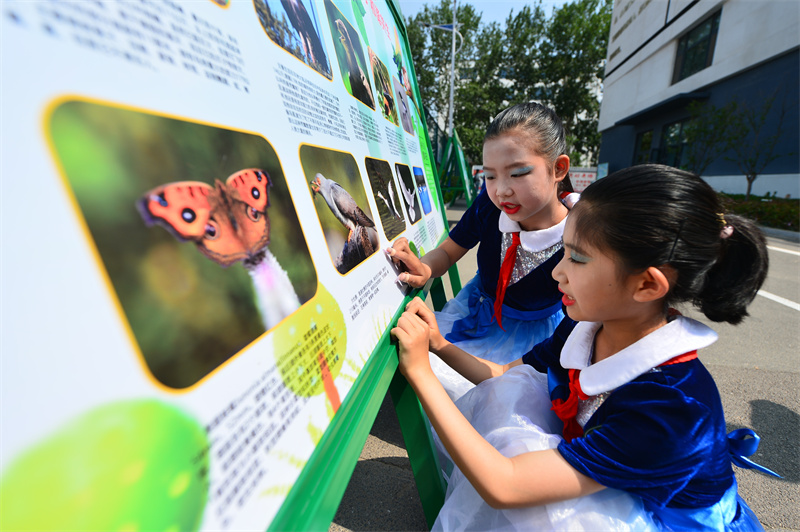 两名学生在观看生物多样性日科普主题展。王海滨摄