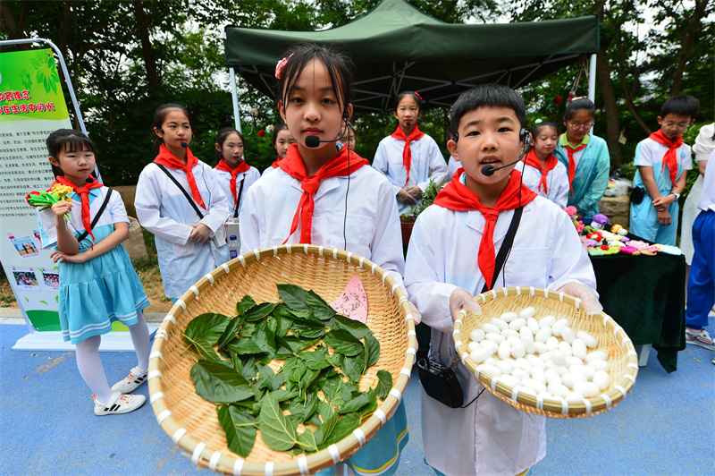 两名古镇小学的学生展示自己培育的桑蚕。王海滨摄
