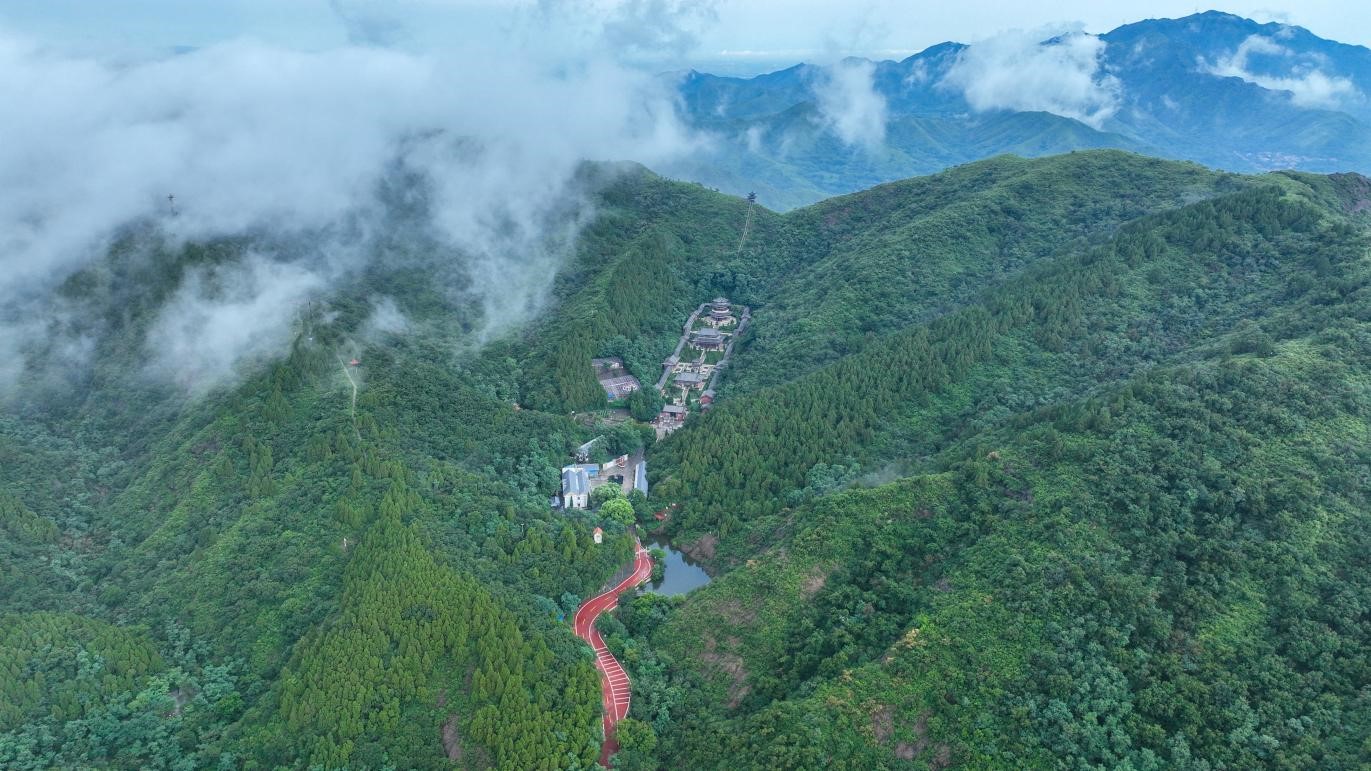 山东邹平：鹤伴山云海如诗如画
