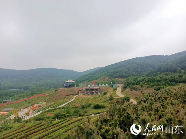 優美竹山，生態竹山。人民網記者 宋翠攝