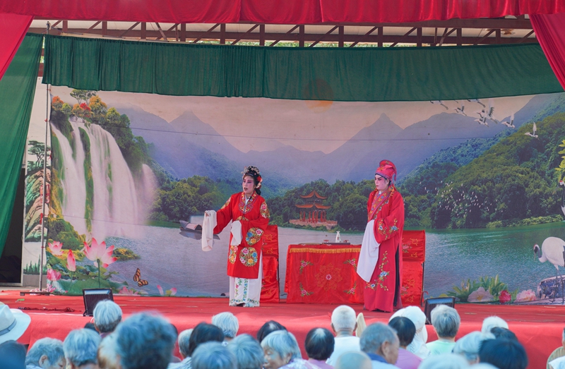 7月23日，山東省鄒平市臨池鎮紅廟村廟會上，地方戲劇團在為村民演出五音戲。董乃德攝